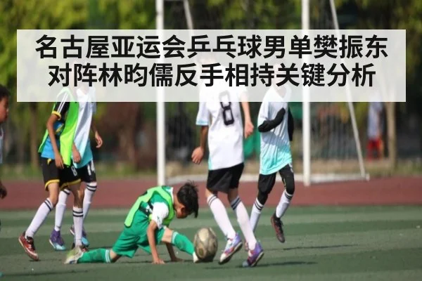 名古屋亚运会乒乓球男单樊振东对阵林昀儒反手相持关键分析